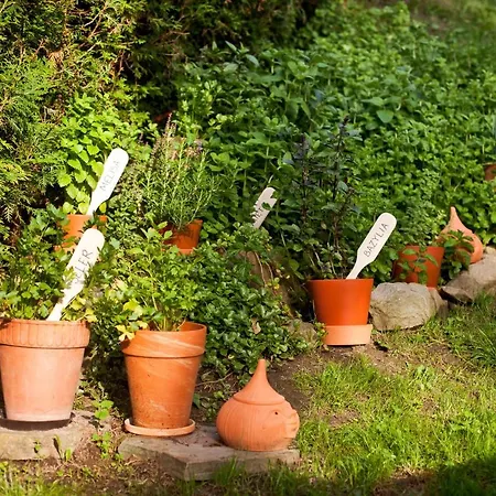 Trela לינה וארוחת בוקר מוז'ינה