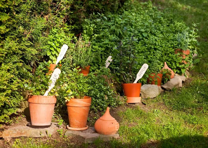 Trela Nocleg ze śniadaniem Muszyna